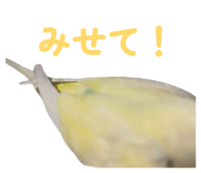 860815648