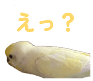 860815649