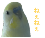 860815650