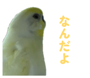 860815652