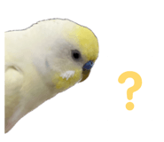 860815653