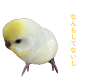 860815656