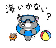 860816116
