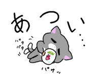 860816127