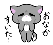 860816141