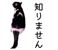 860816175