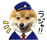 860816355