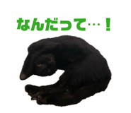 860816378
