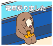 860816513