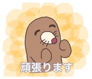 860816533