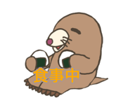 860816537