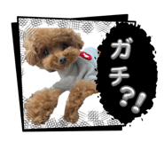 860817274