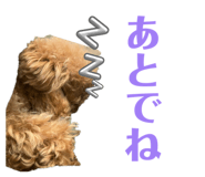 860817288