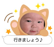 860817588
