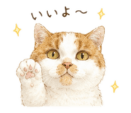 860818093