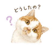 860818094