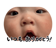 860818115