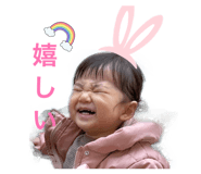 860818233