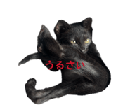 860821080