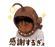 860821243