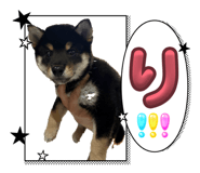 860822018