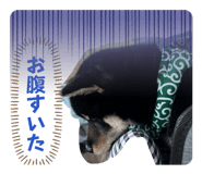 860822019