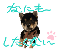 860822020