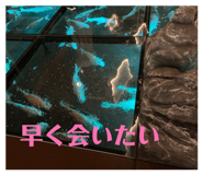 860823292