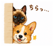 860823496