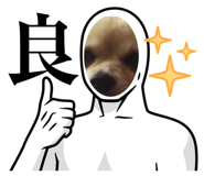 860823555