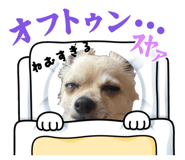 860823557