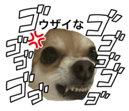 860823558
