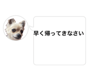 860823565