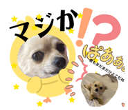 860823573