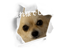 860823575