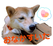 860823580