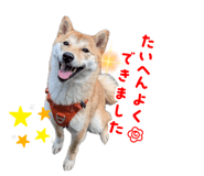 860823597