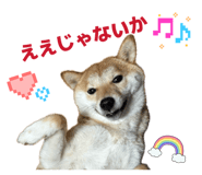 860823599
