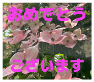 860824447