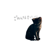 860824552