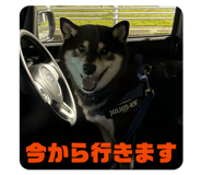 860824657