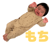 860825294