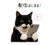 860825366