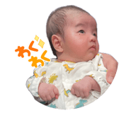 860825542