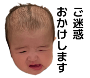 860825560