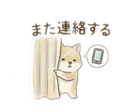 860825592
