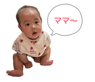 860825622
