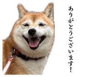 860825882