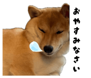 860825883