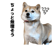 860825885